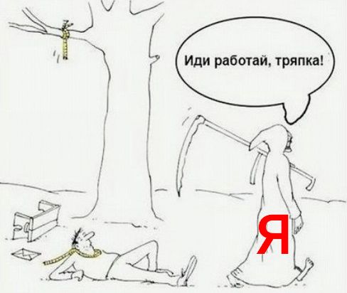 Яндекс дай денег – Иди работай тряпка!