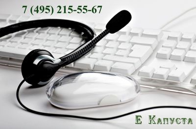 Телефон горячей линии для клиентов Екапуста не бесплатный, пишите на почту или через форму обратной связи